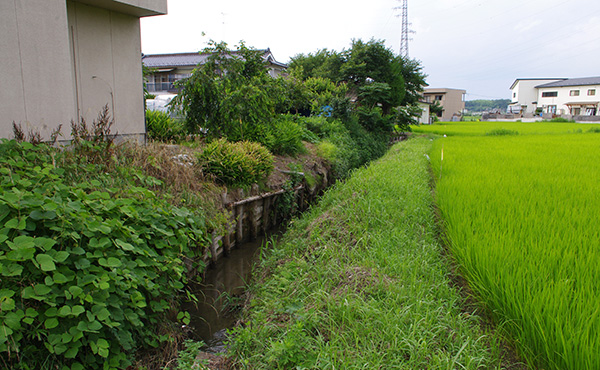 道ノ窪水路_施工前